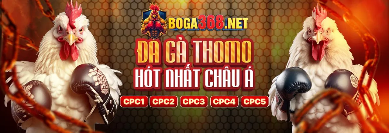 Tổng quan casino trực tuyến ok83869