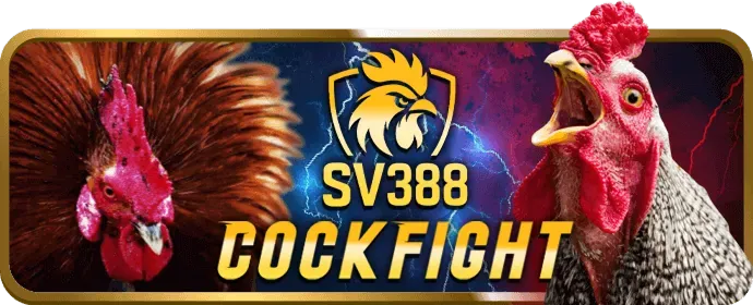 Hoàn trả cược thua ok83869